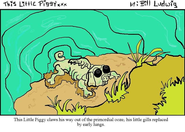 [Piggy Evolution I[3].jpg]