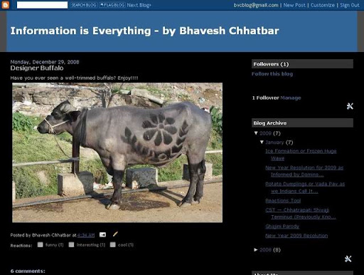 I'm crazy about Pune - by Bhavesh Chhatbarbhavesh 