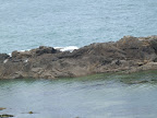 DSCF2795.jpg