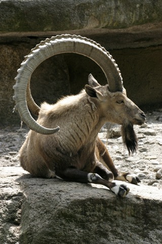 [Ubuntu-8-10-a-k-a-Intrepid-Ibex-2[4].jpg]