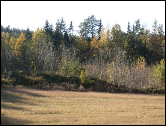 oktober 09003
