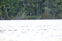 IMG_5780.JPG