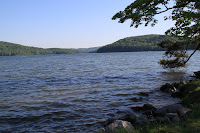 IMG_5761.JPG Photo