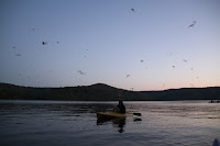 IMG_5890.JPG