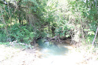 IMG_6413.JPG