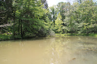 IMG_6333.JPG
