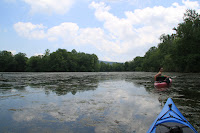 IMG_6353.JPG