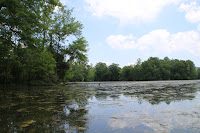 IMG_6354.JPG
