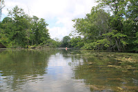 IMG_6368.JPG