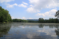 IMG_6373.JPG