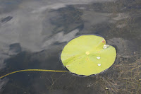 IMG_6377.JPG
