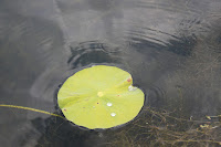 IMG_6379.JPG