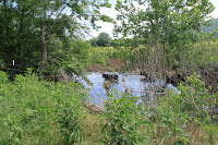 IMG_6421.JPG