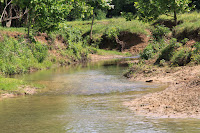 IMG_6426.JPG