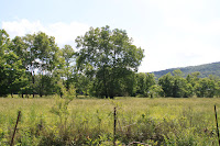 IMG_6448.JPG