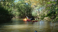 DSC01551.JPG Photo