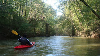 DSC01613.JPG