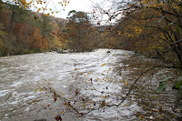 IMG_3537.JPG Photo