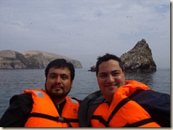 Islas Ballestas 274