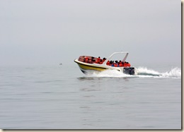 Islas Ballestas 008