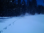 luna-in-deep-powder.jpg