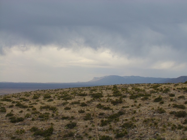 [20090423-8 Guadalupe Mountains[2].jpg]