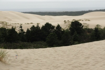 [20100729-124 Dunes[2].jpg]