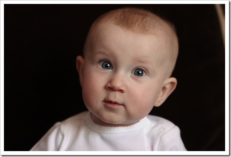 IMG_4229 IMG_4229
