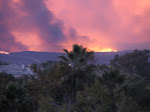 IMG_4633.JPG