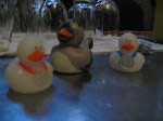 IMG_4927.JPG