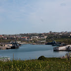 _MG_8409-117.jpg
