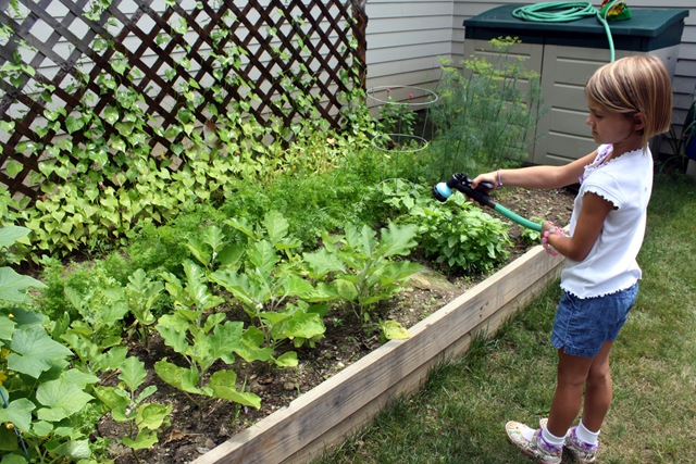 [gardenwatering3.jpg]