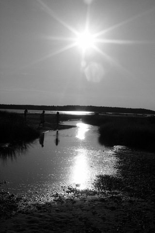 [beachbw3.jpg]