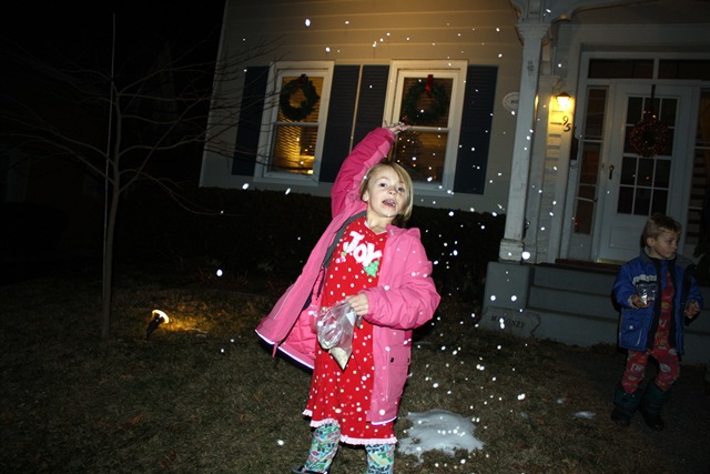 [christmasreindeerdust[3].jpg]