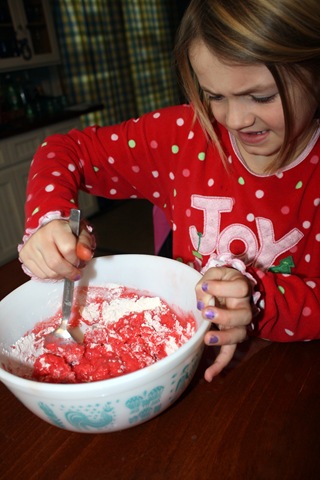 [snowdaystir[3].jpg]