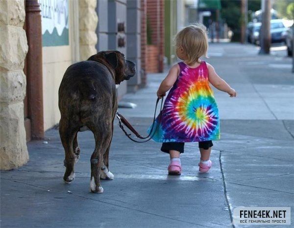 [Dog and the child[3].jpg]