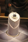 DSCN1495.JPG