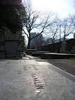 DSCN1684.JPG