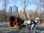Central Park (15).JPG