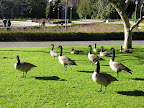 DSCN3006.JPG