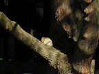 DSCN3008.JPG