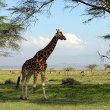 肯尼亚 | Kenya