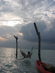 Lankanfushi- The Resort Island - 291.jpg