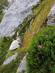 DSCN4135.JPG