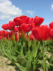 DSCN4480.JPG