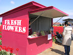 DSCN4477.JPG