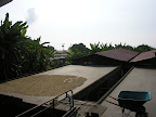 DSCN7883.JPG