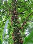 DSCN7548.JPG