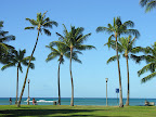 DSCN8178.JPG