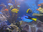 DSCN8198.JPG